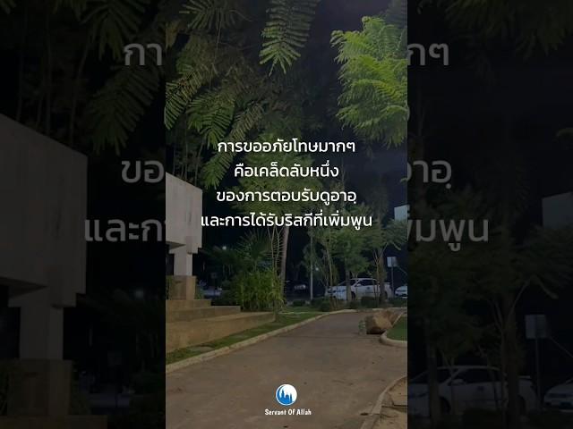 การขออภัยโทษมากๆ คือเคล็ดลับหนึ่ง#ขออภัยโทษ #เตาบัต #กลับตัวกลับใจ #ดุอาอฺจะถูกตอบรับ