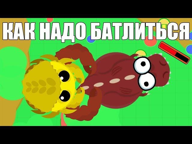 Как надо БАТЛИТЬСЯ в мопе ио Mope.io Меня пытаются сливать )))