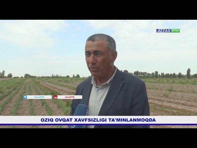 Yangiobodda oziq-ovqat xavfsizligini taminlash yo'lidagi ishlar