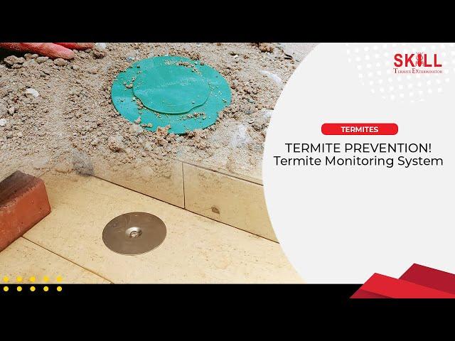 TERMITE PREVENTION! Termite Monitoring System