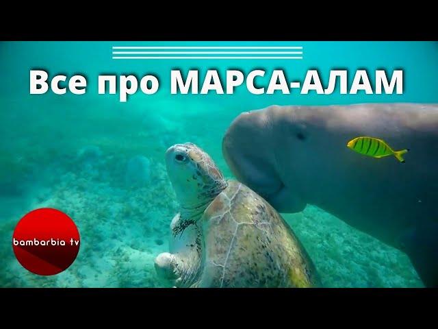 Египет: Марса-Алам. Полезная информация: отели, преимущества курорта, экскурсии