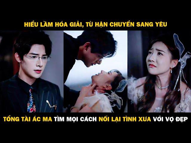 Hiểu Lầm Hóa Giải, Từ Hận Chuyển Sang Yêu, Tổng Tài Ác Ma Tìm Mọi Cách Nối Lại Tình Xưa Với Vợ Đẹp