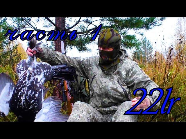 22 lr / В ГЛУХАРИНЫЙ РАЙ С МЕЛКАШКОЙ.