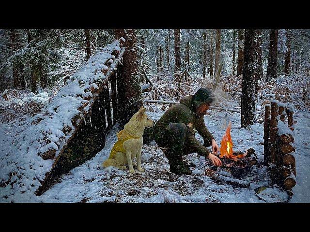 BLIZZARD SNOWSTORM, Winter Survival Bushcraft Shelter in Heavy Snow, Secret in NATURAL SHELTER ASMR