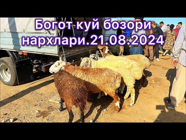 Богот куй бозори нархлари.21.08.2024.ALIXON в прямом эфире!