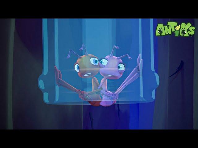 All Bottled UpNEW EPISODE!!!| Funny Cartoons For All The Family!| Funny Videos for kids | ANTIKS