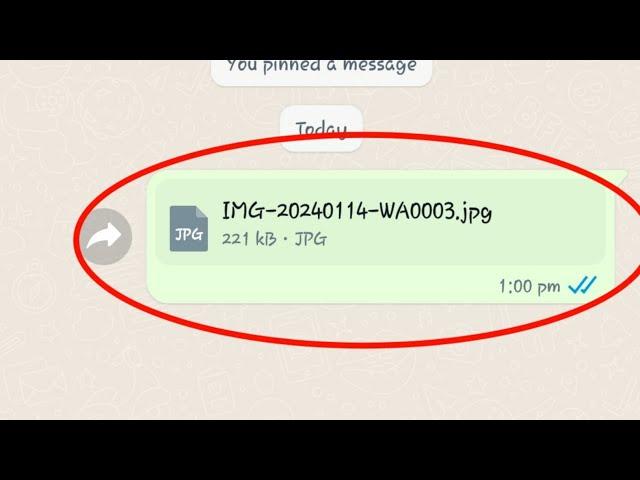 How to Send Photos as Document in WhatsApp in Android | Send Multiple Photos as DOCUMENT