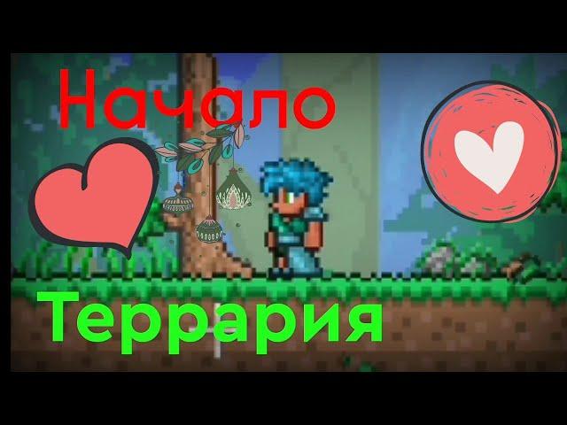 Террария начало летсплея! Снова на канале! (Expert) (Angroidus) 