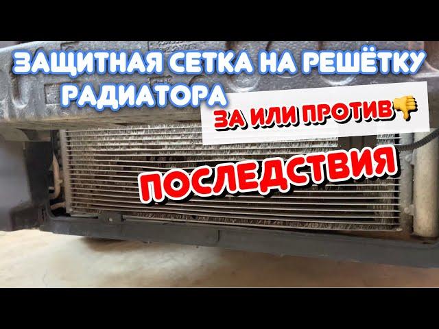 Защитная сетка на радиатор| Ставить или не ставить?