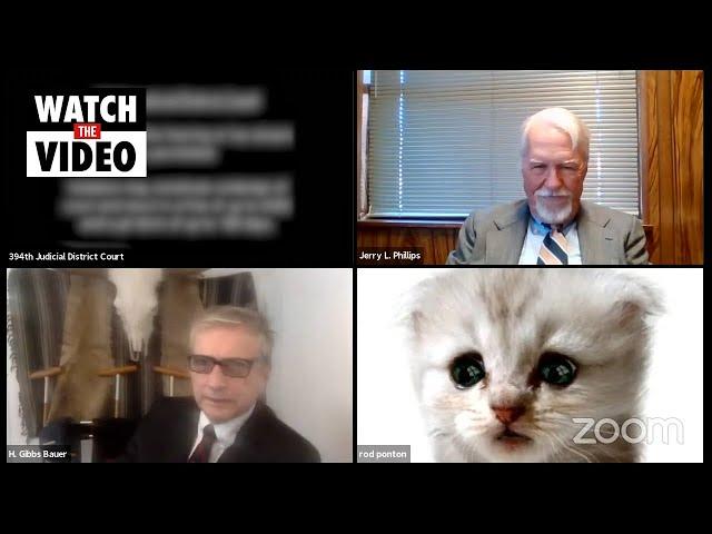 "I'm not a cat": Lawyer struggles with cat filter during Zoom court hearing