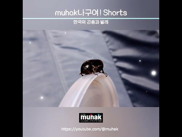 이 밤 이 시각 초대하지 않았는데e5-05-18-b2