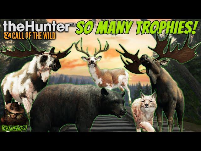 We Got SO MANY TROPHIES! Diamonds, Rares, & Funny Moments! Call of the wild