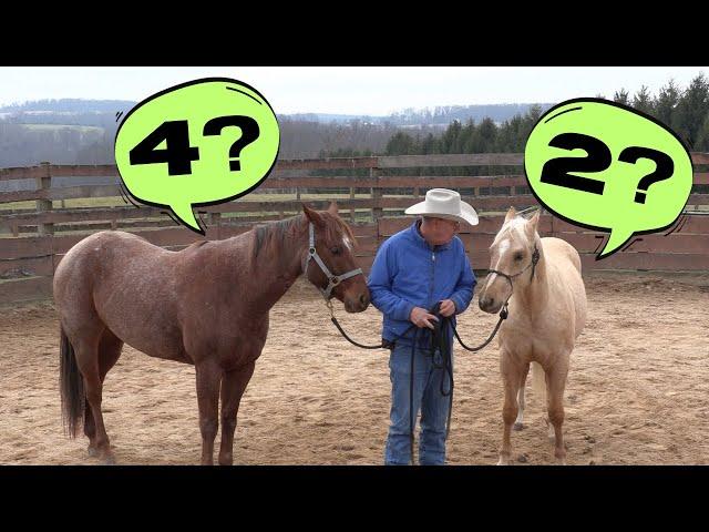 Starting Colts:  What Age? (Episode 188) - Herm Gailey: A Lifetime with Horses