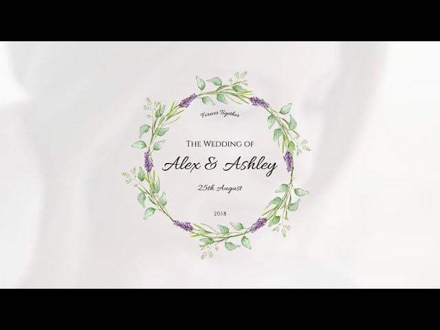 ae project file Floral Wedding Title pack 18-Video World|| After Effects Free Project Download