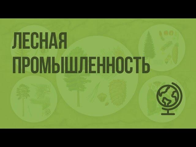 Лесная промышленность. Видеоурок по географии 9 класс