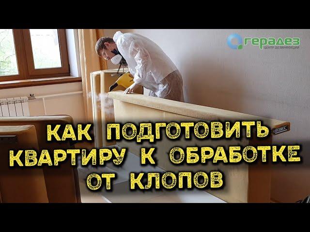 Обработка от постельных клопов — КАК ПОДГОТОВИТЬ КВАРТИРУ для максимального результата