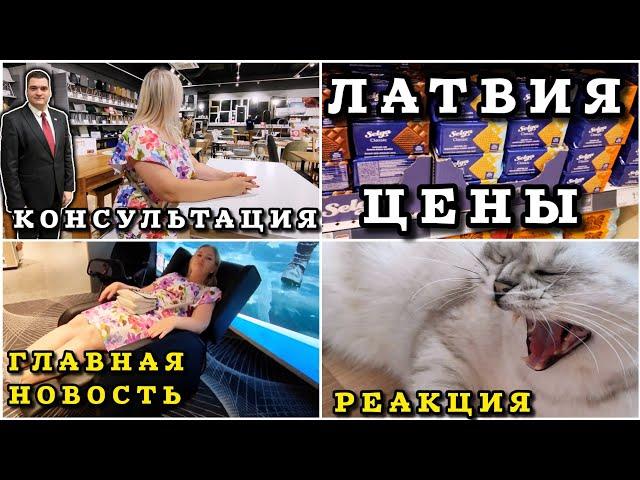 Латвия Самая главная Проблема - Новость. Цены на технику и не только #рекомендации #цены #latvia