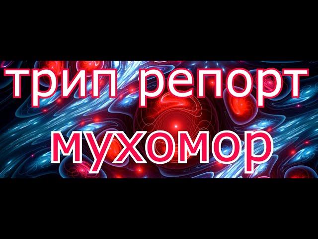 трип репорт пантерный мухомор