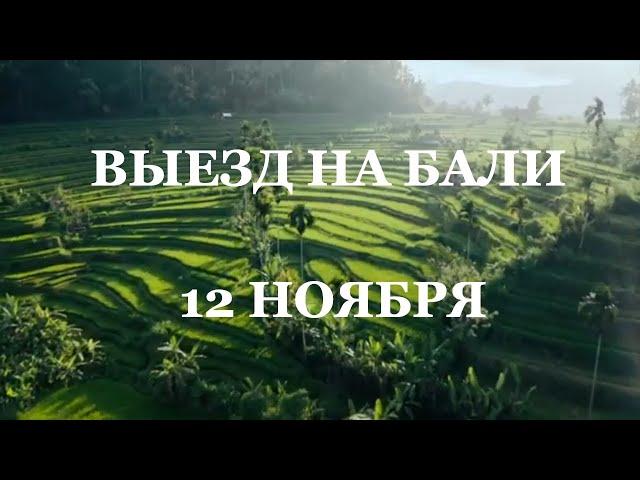 ВЫЕЗД НА БАЛИ Ноябрь 24