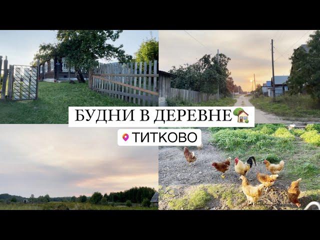 VLOG Жизнь в деревне | Влог Будни в деревне | Деревенская жизнь