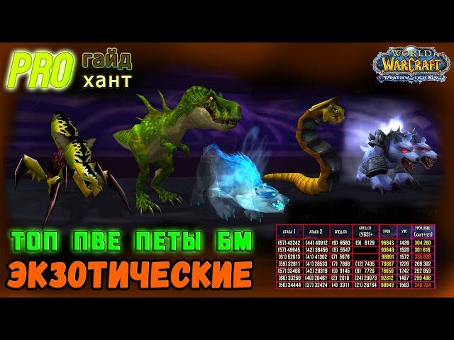 (2из4) Сильнейшие БМ ПЕТЫ для ПВЕ Охотника! ВСЕ Экзотические ПИТОМЦЫ — сравнительное тестирование!