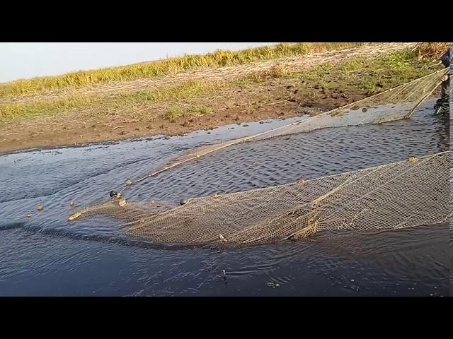 Рыбалка бреднем  в микра речьки