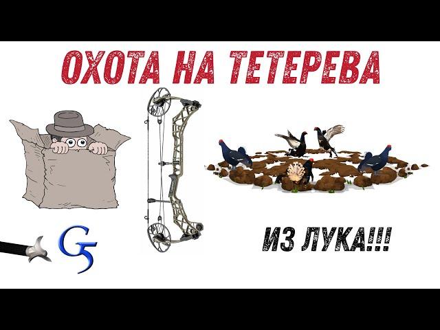 ОХОТА на тетерева из Лука. Все не так просто как кажется!