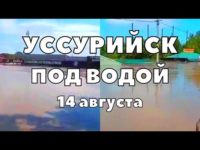 Наводнение в Уссурийске сегодня страшные последствия тайфуна в Приморье