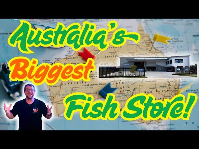 Australia's Biggest Fish Store!!! The Tech Den
