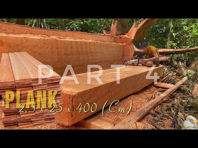 TOP TEKNIK‼️ PART 4 PENGOLAHAN KAYU KETAPANG MENGGUNAKAN MESIN GERGAJI STIHL || CORAK KAYU KETAPANG