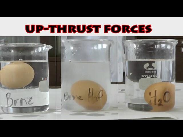 BSc UPTHRUST FORCE IN  LIQUIDS