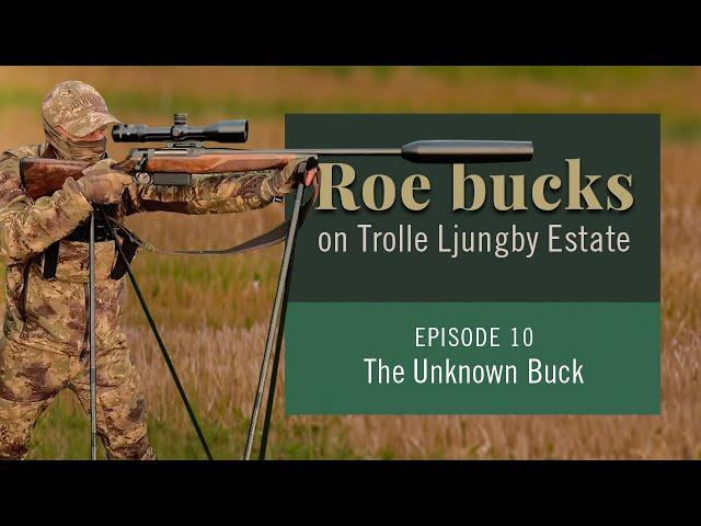 Hunting the Unknown Buck