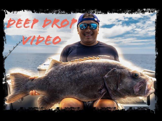 Deep Drop. Catching Monster big bass