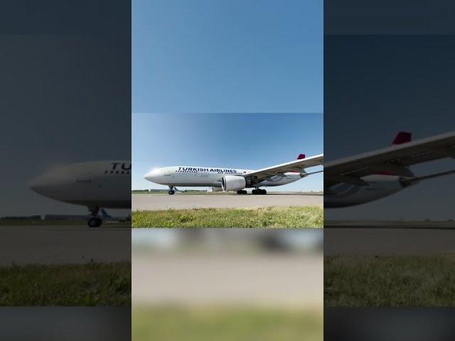 Под крылом красавца Airbus A330 Turkish Airlines