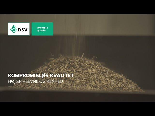 DSV Frø Innovation og vækst