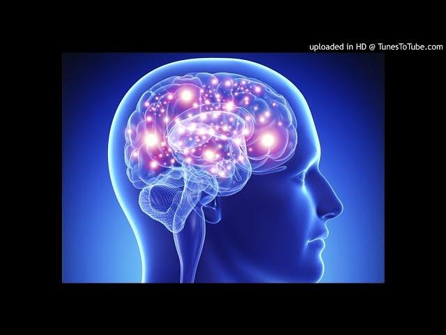 Human Brain (Audiobook)
