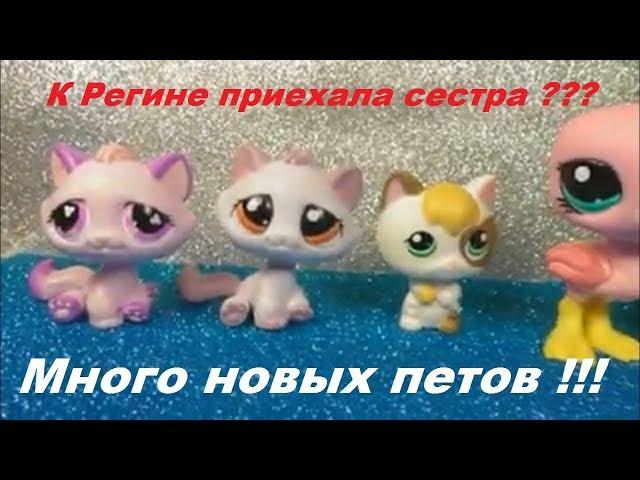 LPS: СУПЕР ПОСЫЛКА от Евы из Москвы