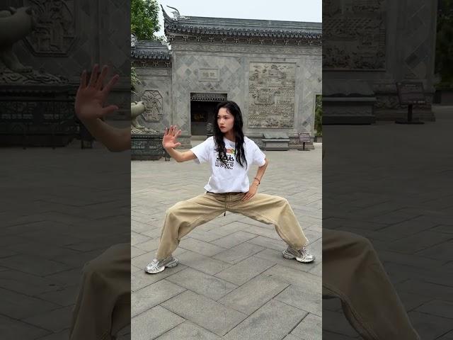 Today we will show you a set of Tai Chi, Tai Chi, Wushu, Chinese martial arts, profound and prof