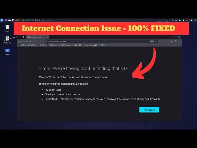 How to Fix Internet Connection Issue on Kali Linux