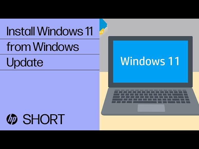 Install Windows 11 from Windows Update in Windows 10 | HP Support