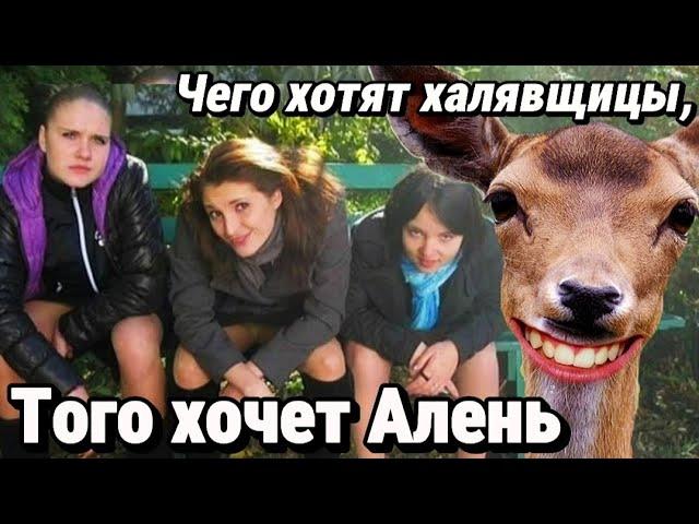 ХОТЕЛКИ МЕРКАНТИЛЬНЫХ ДЕШЁВОК | СЕКРЕТ УСПЕХА