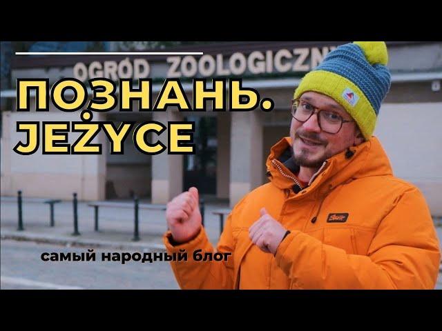 Познань. Какой район выбрать? Jeżyce