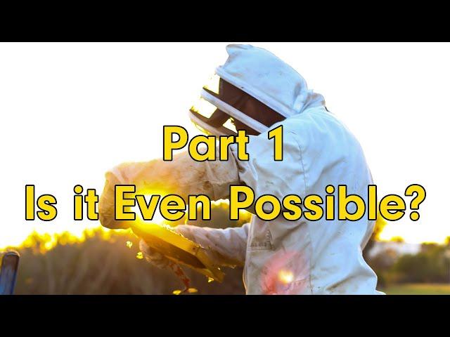 MAKING MONEY BEEKEEPING - Part 1: Is It Even Possible???