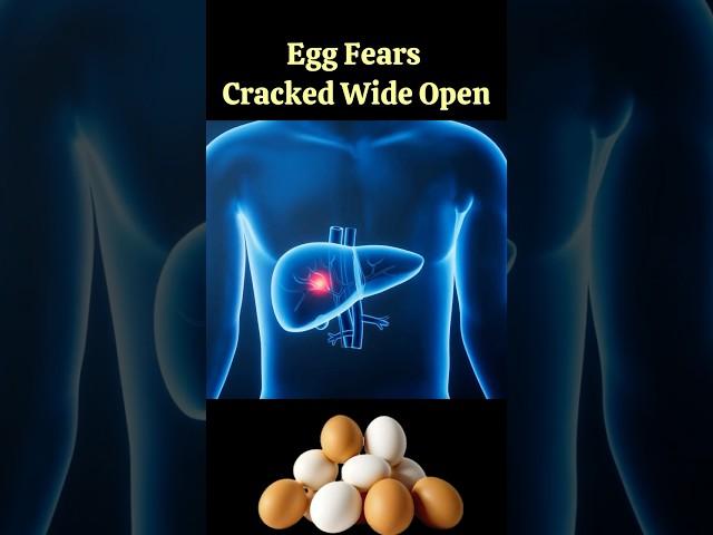 Egg Fears Cracked Wide Open!  #drmandell #health #eggs