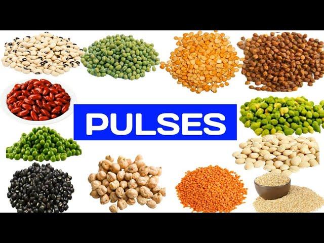 PULSES NAMES | PULSES NAMES IN ENGLISH | DAL NAMES | NAMES PULSES | PULSES