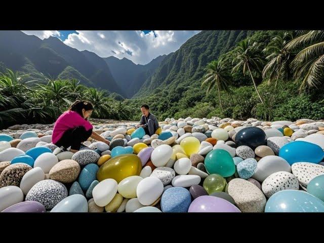 A saltwater lake deep in the rainforest, with a large number of pearl oysters
