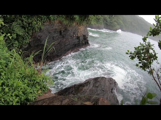 THE TRAIL SEEKERS NATURE TRAILS AND TOURS VLOG| HIKE TO PEECHON COVE| NORTH COAST TRINIDAD   EP.1