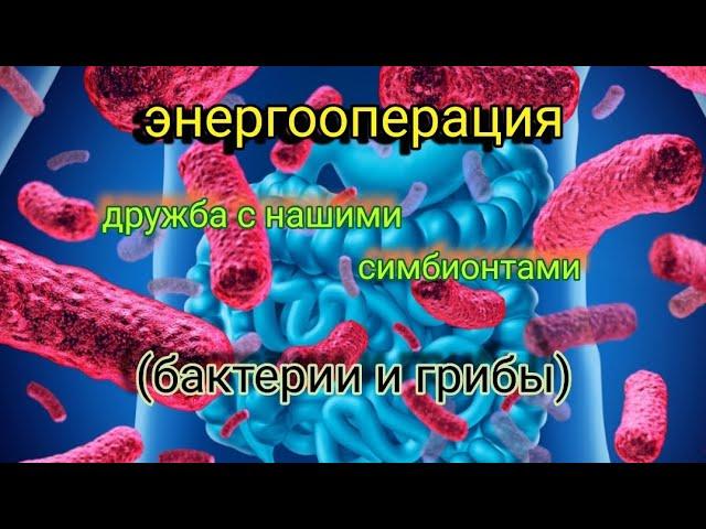 #энергооперация Дружба с нашими симбионтами (бактерии и грибы)