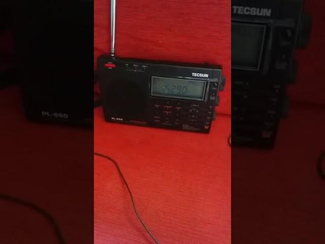 New shortwawe antenna style with Nhk radio 15290 khz