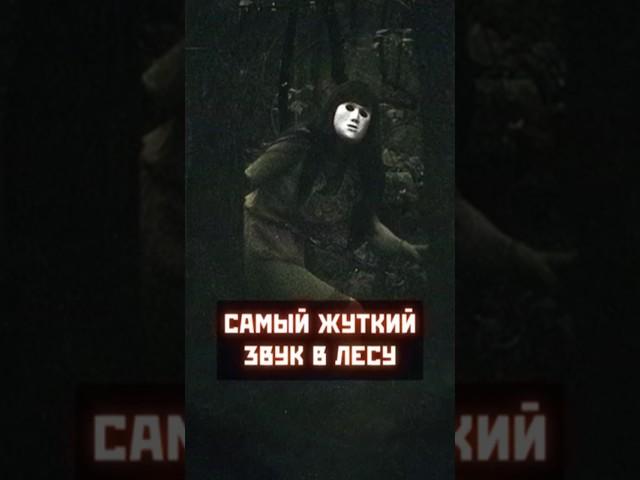 САМЫЙ ЖУТКИЙ ЗВУК В ЛЕСУ.  #факты #интересныефакты #shorts